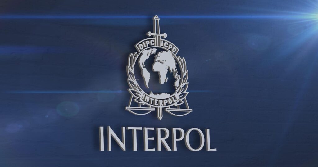 La operación de Interpol contra el ciberfraude deja más de 5.000 detenciones